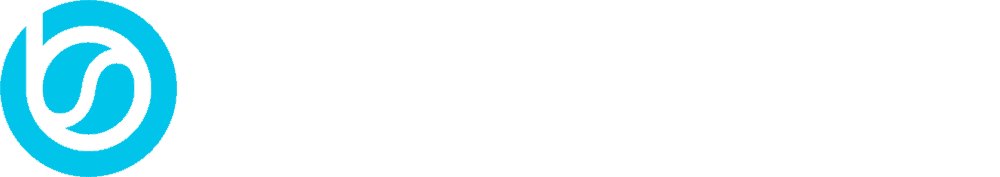 BizStream